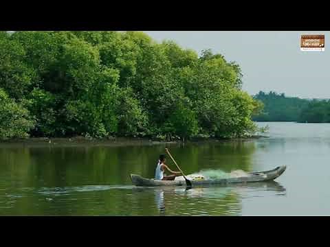 Tamil Nadu: A Tribute to Mother Nature