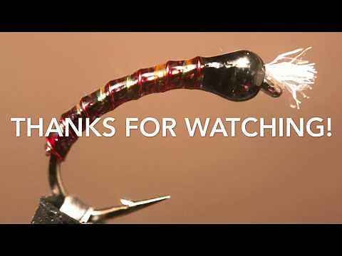 Bloody Pearl Chironomid Pupa Fly Pattern