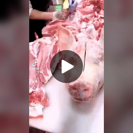 Peppa Pig Piano Songs for Kids | Childhood Memories Tribute