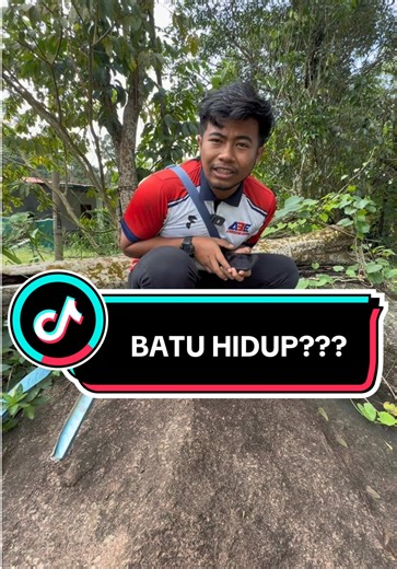 Ado hok baru firstime dengar jugok ko yang batu ni hidup? Ko batu gapo lagi hok hidup? #skmhardwaresdnbhd #abehardware #fypシ゚ #fyp #CapCut
