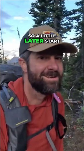 Thrilling Start to Day 3 Encounter with Mama Grizzly and Cubs in Glacier National Park