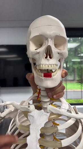 Effective Strategies to Relieve Toothache and Throat Lump Discomfort