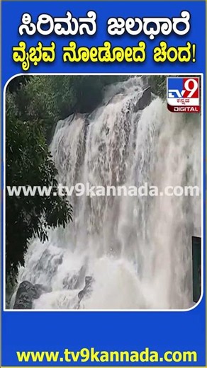 Sirimane Falls: ಹಾಲ್ನೂರೆಯಂತೆ ಧುಮ್ಮುಕ್ಕುತ್ತಿರುವ ಶೃಂಗೇರಿ ತಾಲೂಕಿನ ಸಿರಿಮನೆ ಜಲಪಾತ!| #TV9D