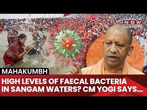 High Levels Of Faecal Bacteria Found In Maha Kumbh’s Sangam Waters: Is It Safe To Take A Dip? |Watch