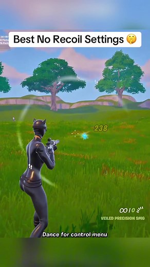 Best No Recoil Settings for Fortnite
