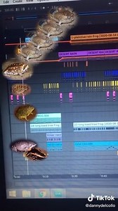 Why South African frogs are the Greatest. Credit: danny delcolio - vm.tiktok.com/ZMJrx8YD1/ Full video here: https://www.youtube.com/watch?v=dEqp23rv-BQ&feature=youtu.be | Tyrone Ping - Herpetofauna of Southern Africa