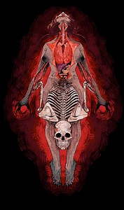 Digital Download of Skeleton Drawing, in Colour and Black and White - Etsy