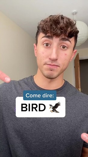 Learn How to Pronounce Bird in English | English Lesson