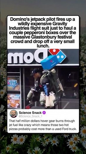 THE MOST EXPENSIVE DOMINOS DELIVERY