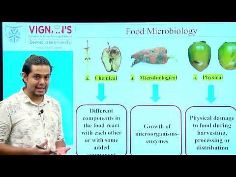 Sources of Contamination of Food