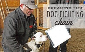Dog Fighting Facts: We Need To Break The Chain - Canine Journal