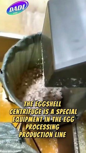 Automatic egg liquid and eggshell separating #machine #food#egg#egg shell crusher