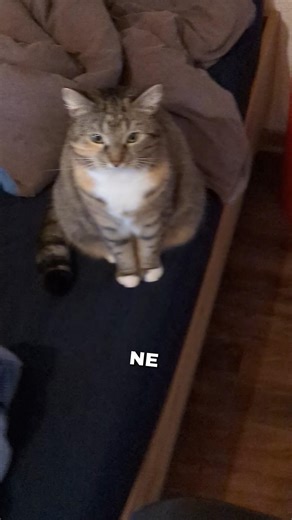 WHY IS SHE DOING THAT?