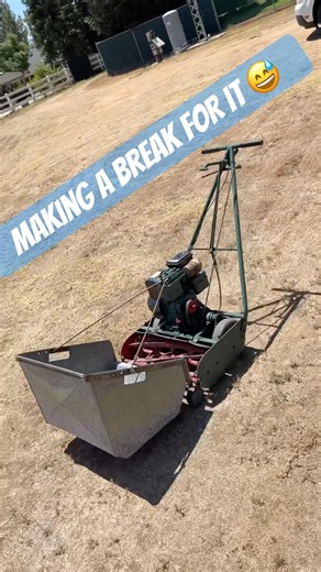 California Trimmer Has Had Enough! 😂