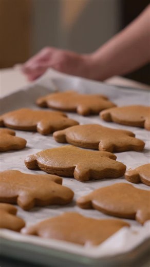 Claudia on Instagram: "Marranitos, Cochinitos oh Puerquitos? 🐷 These are a childhood favorite and a recipe I treasure, is included in my new cookbook Pre-Order 🥳 link in bio Ingredients:16 Marianitos depending on cookie cutter size 8 oz piloncillo 2 tablespoons water 3¼ cups all-purpose flour 1 tablespoon baking powder 1½ teaspoons ground cinnamon ½ teaspoon ground anise ¼ teaspoon ground ginger ½ teaspoon salt 6 tablespoons unsalted butter, softened ¼ cup molasses or 1/2c honey & 1/3c brown s