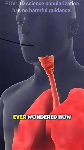 STOP 😳 This Is How Doctors Take a Lung Sample (3D)#Shorts #YTShorts #Viral #Trending #StopScrolling