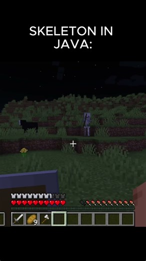 MINECRAFT BEDROCK VS JAVA SKELETON #minecraft #skeleton