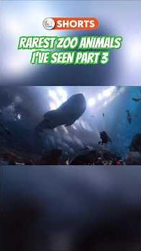 RAREST American Zoo Animals I've Seen PART 3 #zoos