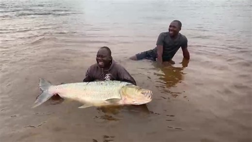 Exploring the Mighty Goliath Tiger Fish of the Congo River