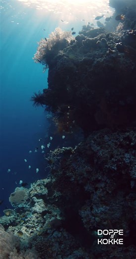 Benny Benassi, Laherte, Zamna Soundsystem – The Future (Ocean Deep) 🪸 Melodic Techno