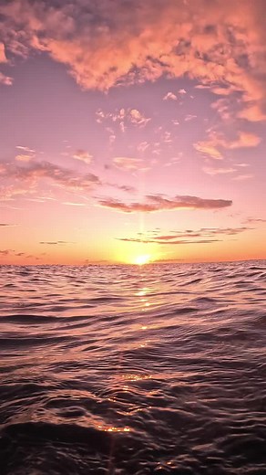 Discover Manihiki: The Jewel of Cook Islands