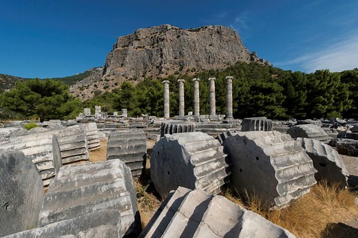 Greeks VS Persians: The Battle of Mycale That Shaped Ancient Greece - GreekReporter.com