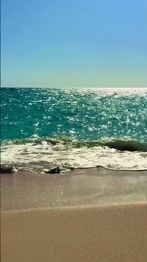 We Could Watch This All Day in Bermuda | Go To Bermuda