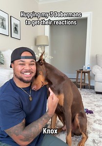Hugging My 3 Dobermans: Knox, Bear & Junior React