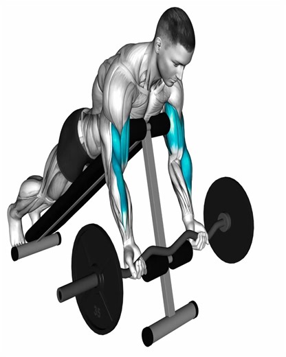 Biceps Brutales #fblifestyle | Muscle man