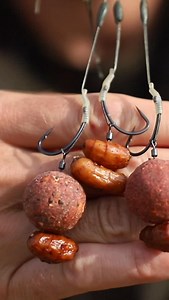 19K views · 689 reactions |  TIE UP THE MULTI TIGER RIG – IT’S SO...