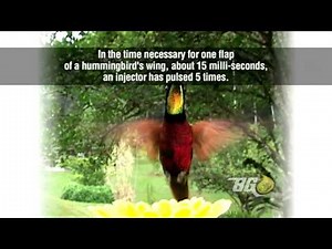 BG Products Complete Induction Service