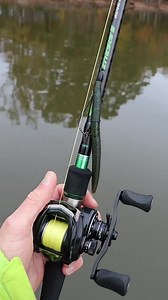 Flipping a Senko works all over the country and it really excels anytime there’s lots of fishing pressure. I’ve tried a bunch of different setups for this, and here’s my favorite. 👍 IROD Fishing Abu Garcia Yo-Zuri America. Inc. Rock Outdoors Gary Yamamoto Custom Baits #flippingsenkos #senko #wormfishing | Brandon Card