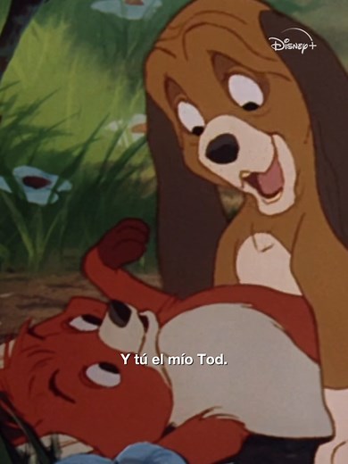 Siempre seremos buenos amigos, ¿verdad? #TodYToby #CineEnTikTok | tod y toby
