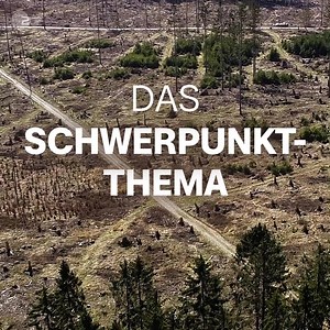 Auch wenn der August für viele verregnet war, die Welt scheint zu verdorren. Und das hat viele Auswirkungen. Mehr sehen – besser verstehen mit der ZDFheute-App. | ZDF heute