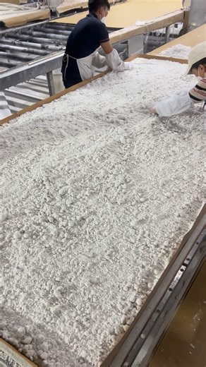 The quartz blend is spread with precision, allowing veins and textures to flow naturally across the surface. This step ensures visual harmony and structural stability from the start. #QuartzStone #QuartzSlab #StoneProduction #CalacattaQuartz #QuartzFactory #Craftsmanship #PremiumSurfaces | Sodo Industries