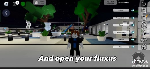 Unlocking Key in Fluxus Gameplay