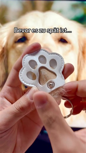 Wenn dein Hund ein Familienmitglied ist