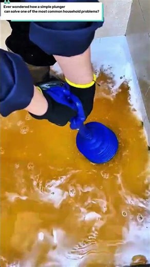 Plunger - Educational Short: Features, How It Works & Impact on Productivity"
