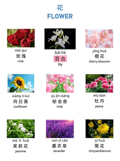 What's your favorite flower? Do you see your favorite flower on this list? #chinese #learnchineseonline #mandarinchinese #集词卡 | Learn Chinese