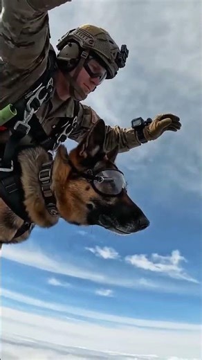 Skydive Training Like You've Never Seen