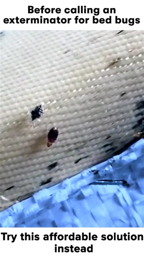 You don't need a million products to keep your home pest-free. BugMD makes it simple!