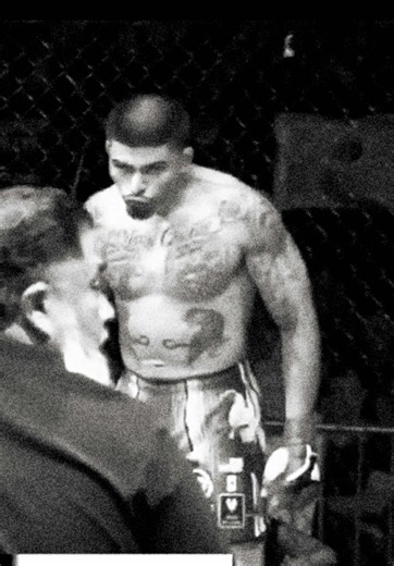 Showtime MMA Fight Highlights - Best Fighter Moments