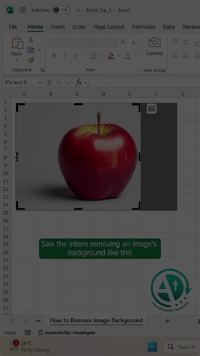 How to remove an image background in Excel. #PayrollExcelTemplate #Excel #exceltips #excellence #Excellent #ExcelTricks