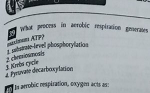 What process in aerobic respiration generates graxinum ATP?sub... | Filo
