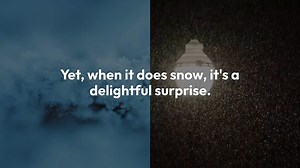 New Orleans Snow - A Rare Southern Wonder