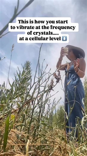 💎 Comment “CODEX” to learn how to create crystal elixirs, tinctures, and sprays that shift your vibration at a cellular level. ✅ This is how you start to vibrate at the frequency of crystals, not just in your aura, but in your cells. Inside The Crystal Codex, we go beyond working with crystals, we work through them. You’ll learn to craft vibrational elixirs, structured waters, tinctures, and sprays that reprogram your body’s frequency from the inside out. This is where science meets spirit, and