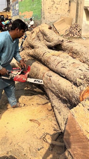 Massive Wood Slice Challenge ⚡ Extreme Cutter Taking Down Heavy Timber Logs | Maker Zone #wood