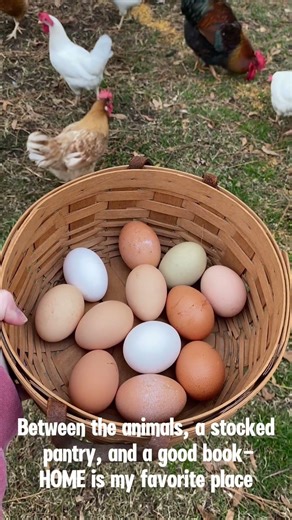 💜HOME #homestead #home #homemade #chickens #farm #backyardchickens #freerangechickens #simple