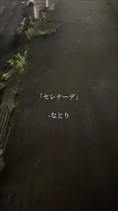 「こんな悲しい結末でごめんね」こんな切ない歌詞ある？ #セレナーデ #なとり #歌ってみた
