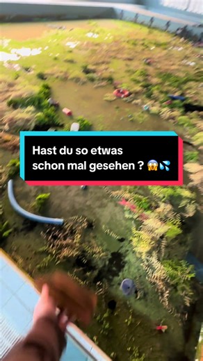 Unglaubliche Entdeckungen in einem vergessenen Schwimmbad